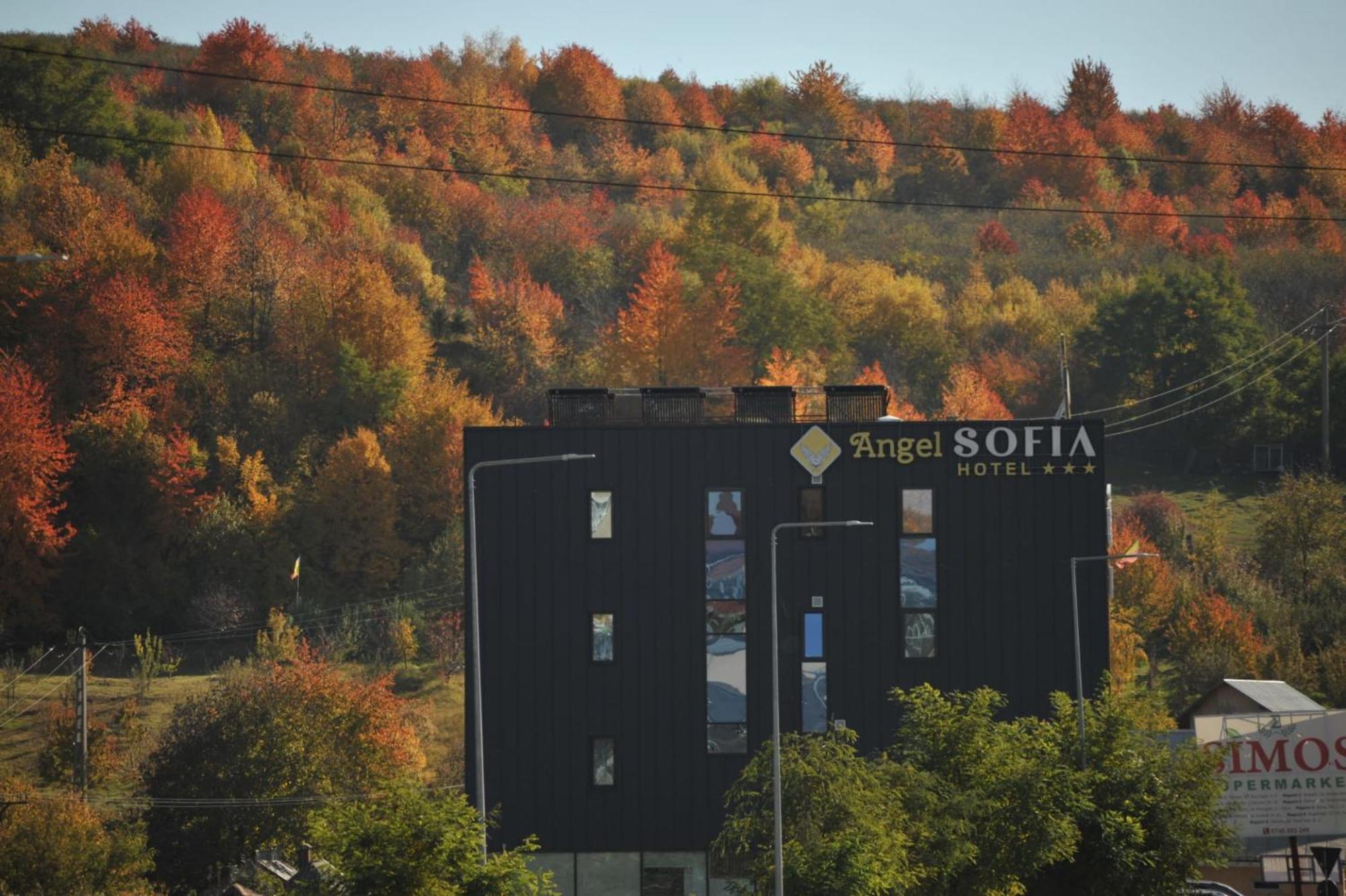Hotel Angel Sofia Фелтічень Екстер'єр фото